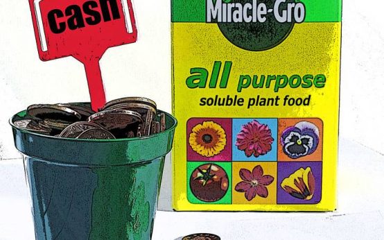 Growing rich