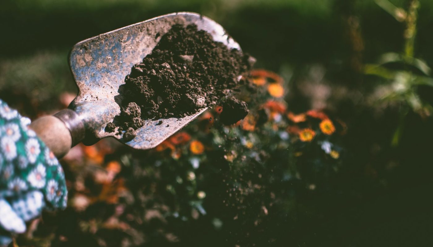 Container Gardening for Apartments and Small Patios