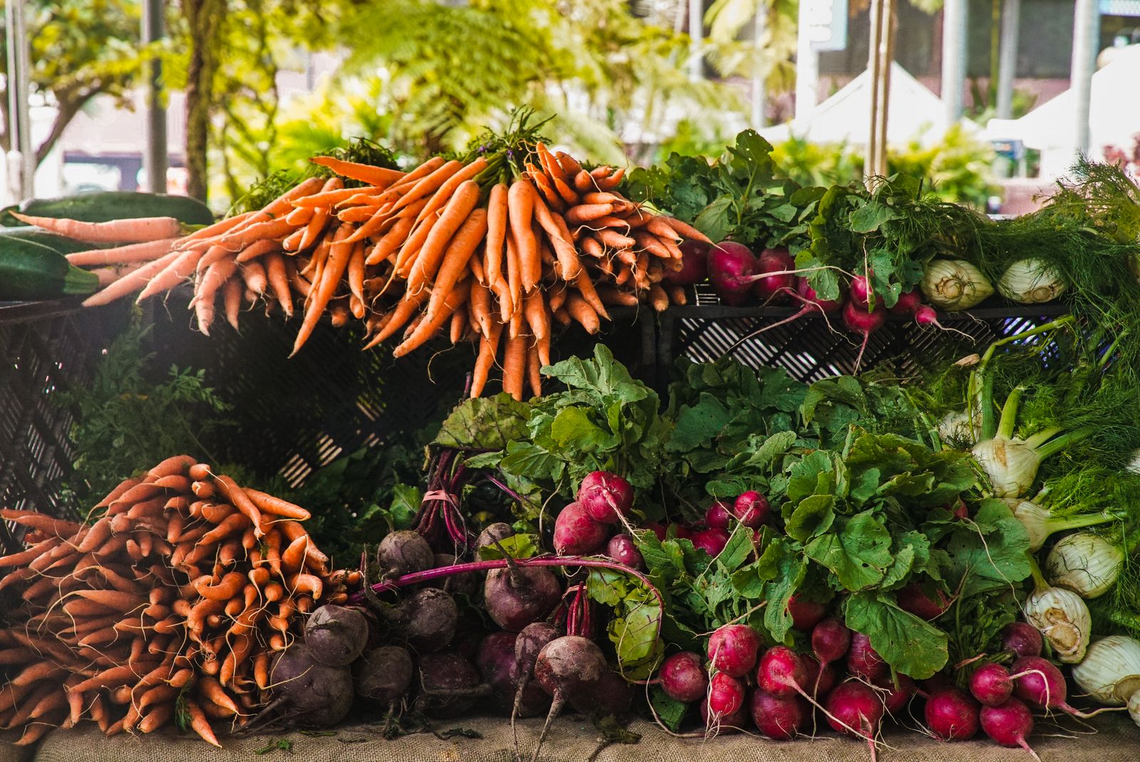 How to Save Seeds From Your Own Harvest