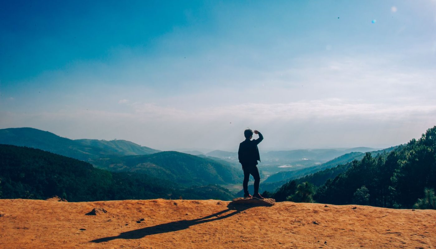 Organic Pest Control for Beginners on a Budget